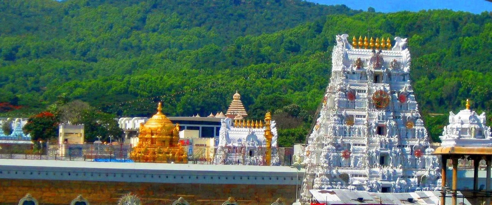 how to book tirupati darshan tickets online